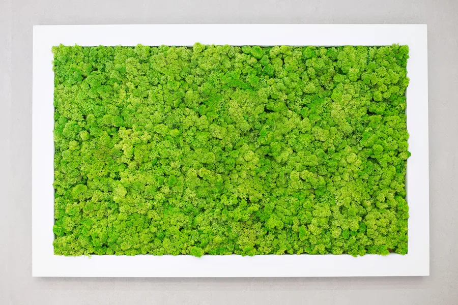 A living wall of greenery